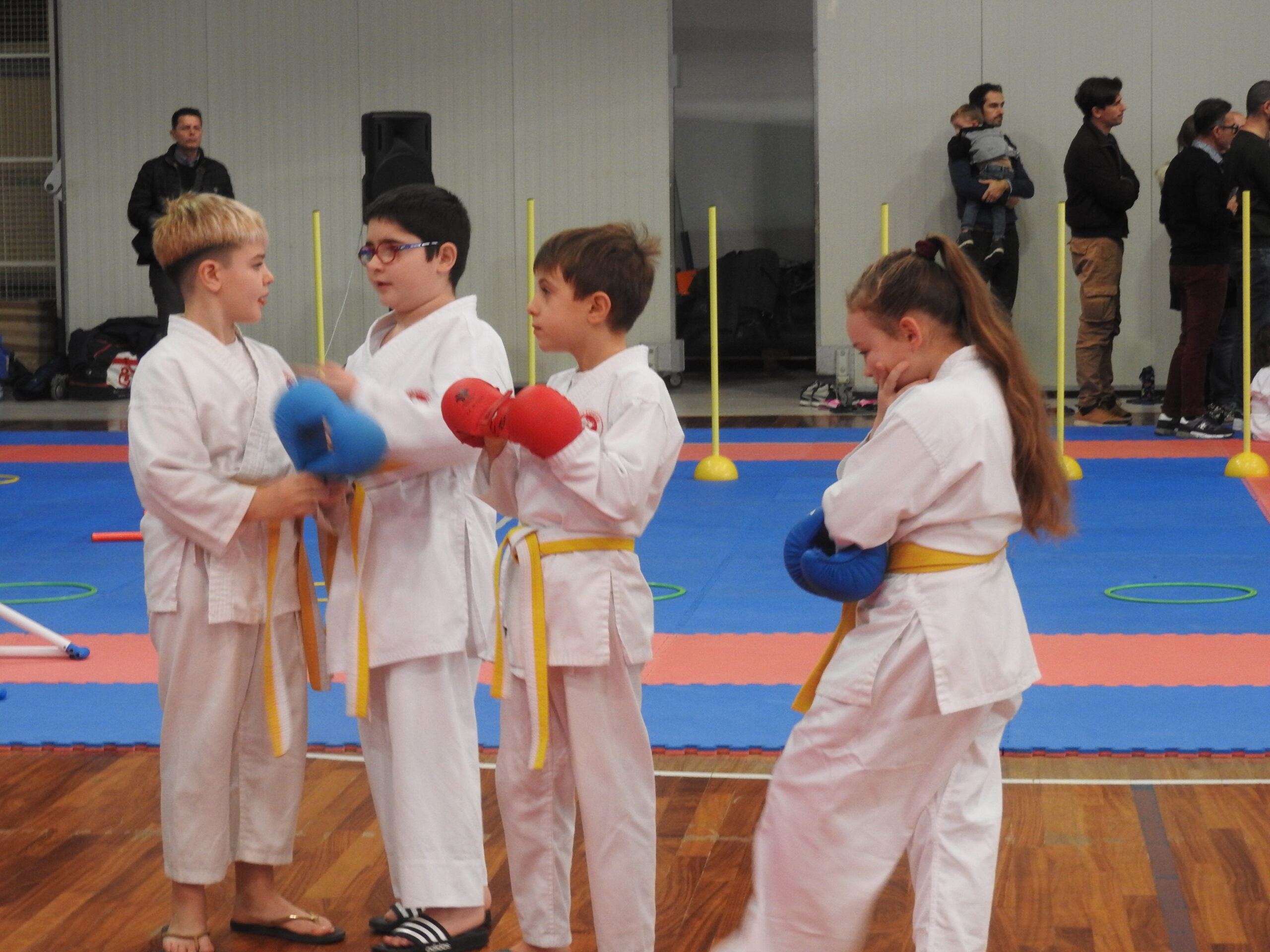 CRMarche Fijlkam karate: Risultati IV Trofeo Marche & Gran premio Giovanissimi – San Severino Marche, 15/12/2024.